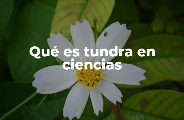 Qué es Tundra en Ciencias 2 Características físicas y ambientales de la tundra