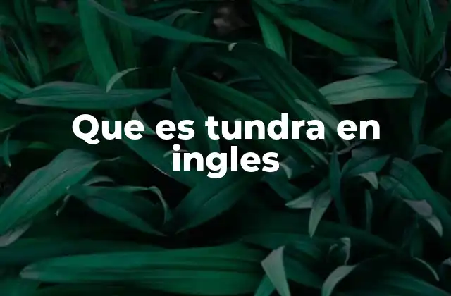 Que es Tundra en Ingles