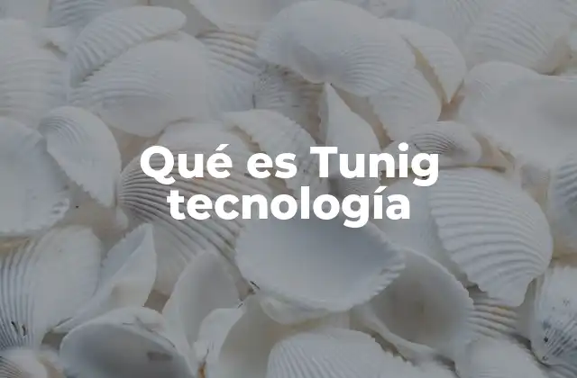 Qué es Tunig Tecnología