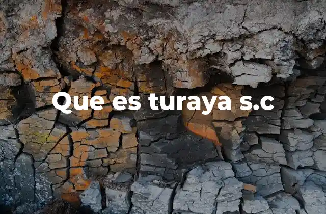 Que es Turaya S.c