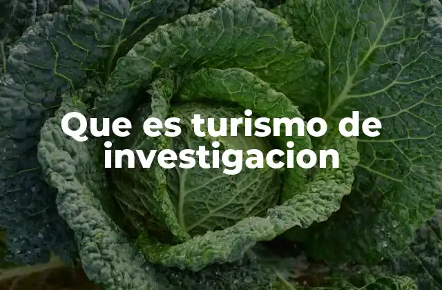 Que es Turismo de Investigacion