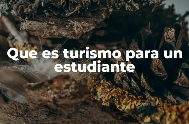 Que es Turismo para un Estudiante
