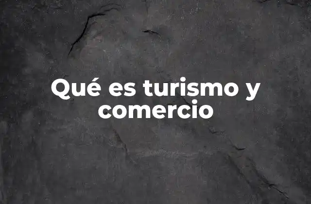 Qué es Turismo y Comercio