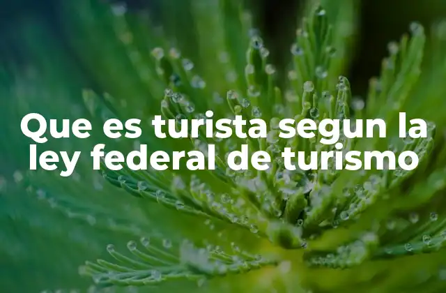 El papel del turista en la economía nacional