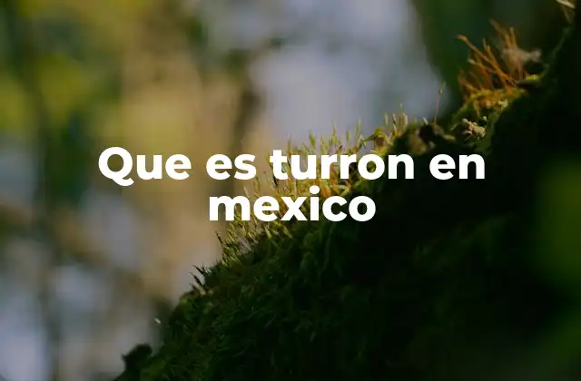 Que es Turron en Mexico