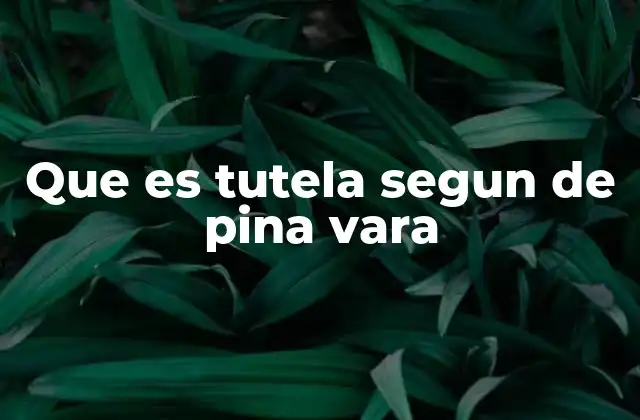Que es Tutela Segun de Pina Vara