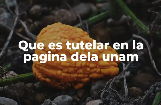 Que es Tutelar en la Pagina Dela Unam