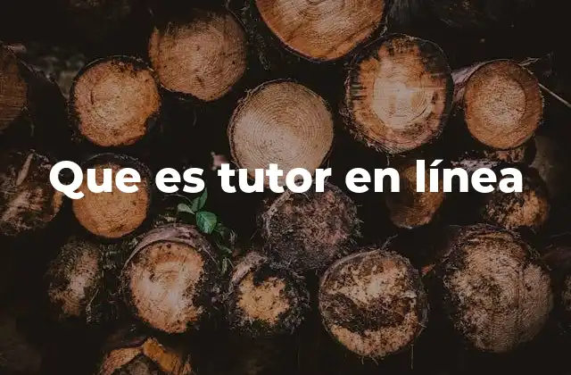 Que es Tutor en Línea