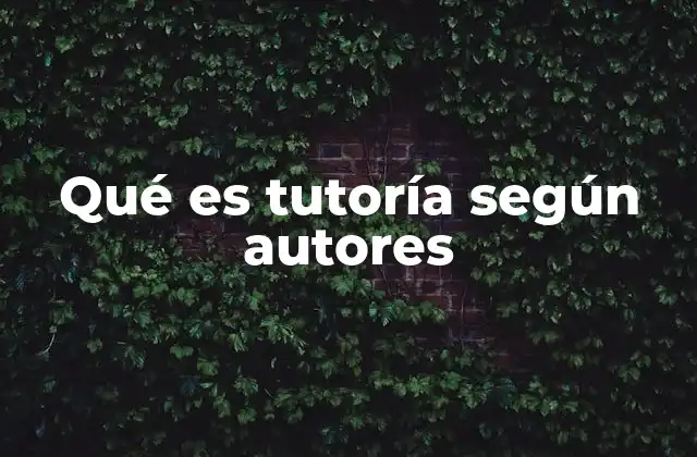 Qué es Tutoría según Autores