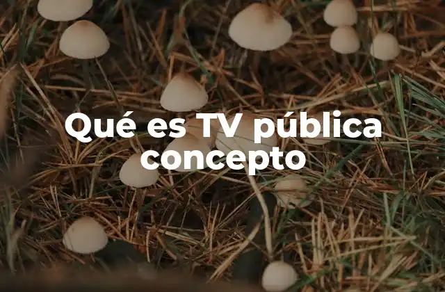 Qué es Tv Pública Concepto