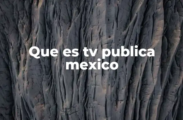 Que es Tv Publica Mexico