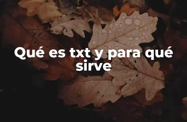 Qué es Txt y para Qué Sirve