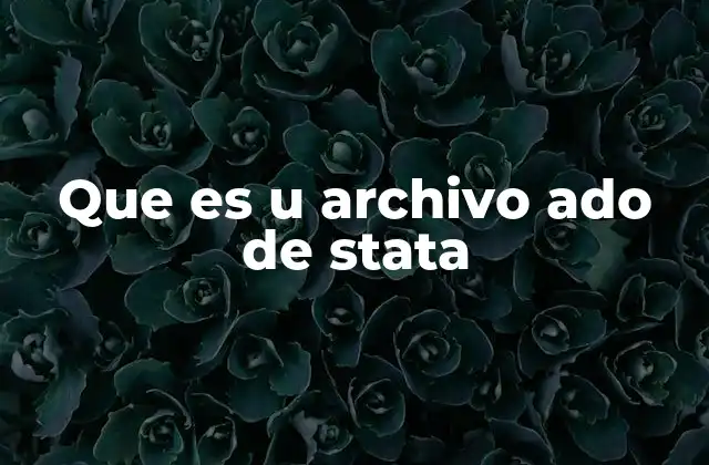 Que es u Archivo Ado de Stata 2 Cómo interactúan los archivos .ado con Stata