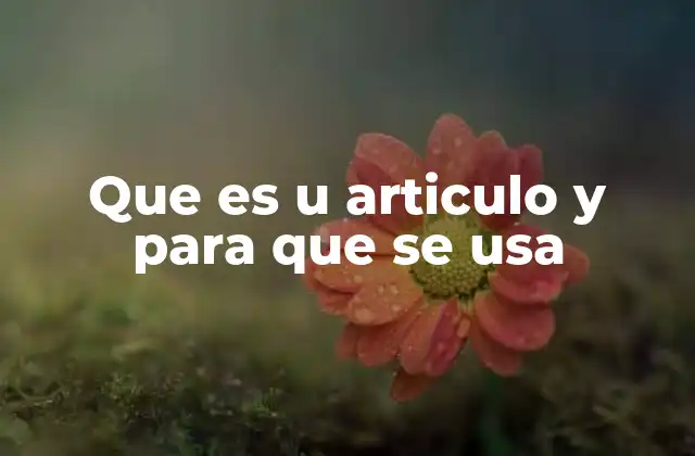 Que es u Articulo y para que Se Usa