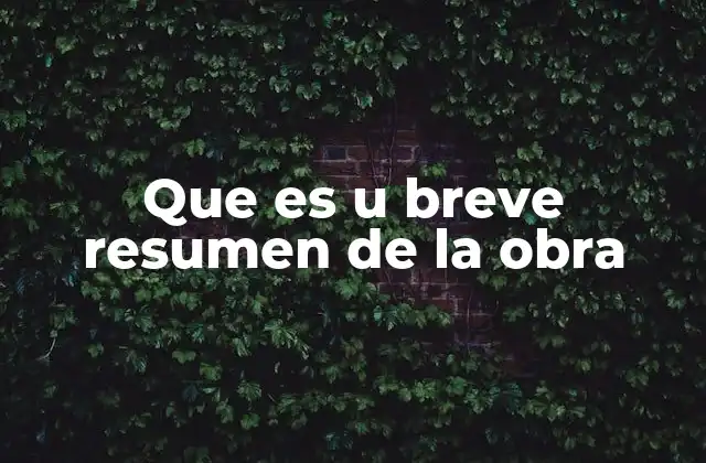 Que es u Breve Resumen de la Obra