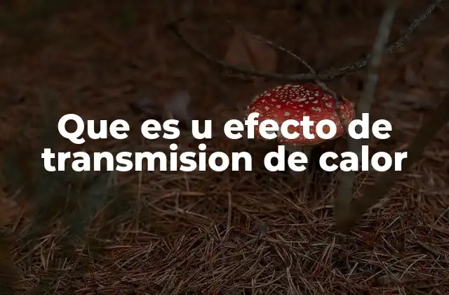 Que es u Efecto de Transmision de Calor