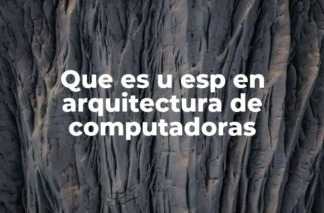 Que es u Esp en Arquitectura de Computadoras