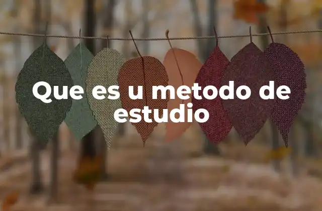 Que es u Metodo de Estudio