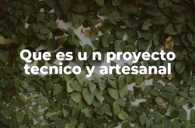 Que es u N Proyecto Tecnico y Artesanal