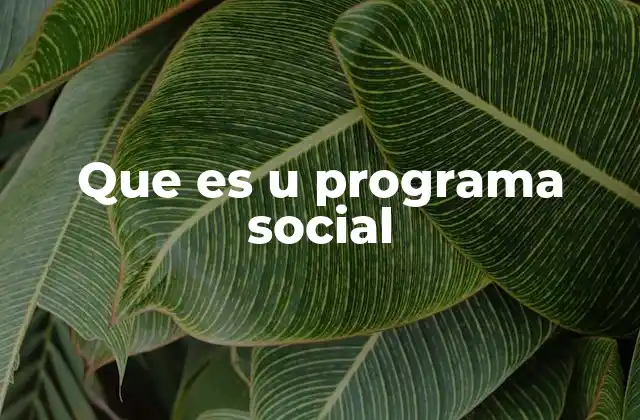 Que es u Programa Social