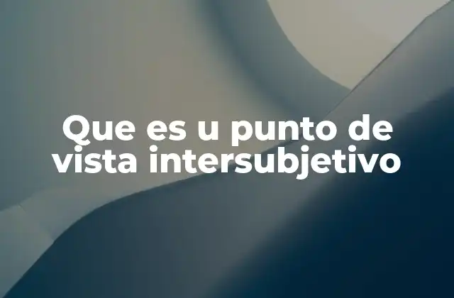 Que es u Punto de Vista Intersubjetivo