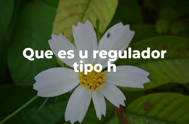Que es u Regulador Tipo H