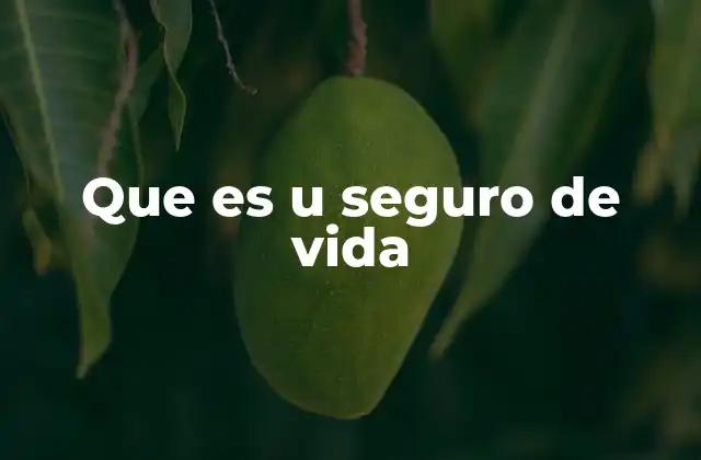 Que es u Seguro de Vida