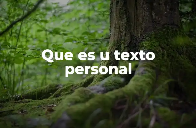 Que es u Texto Personal