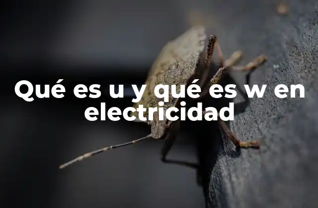 Qué es u y Qué es W en Electricidad