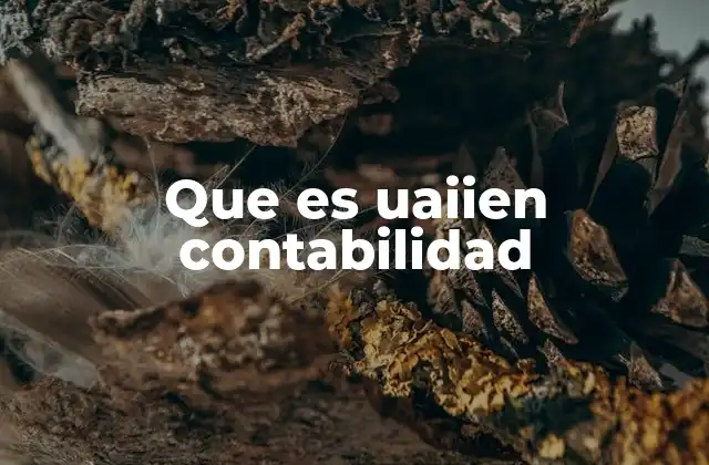 Que es Uaiien Contabilidad