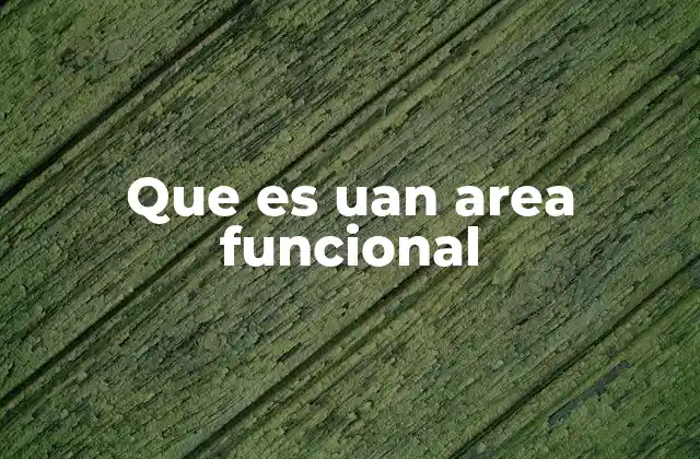 Que es Uan Area Funcional 2 La importancia de organizar espacios por función