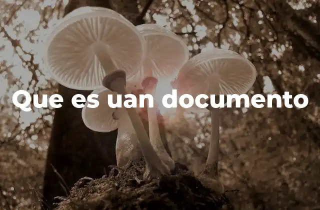 La importancia del documento en la sociedad