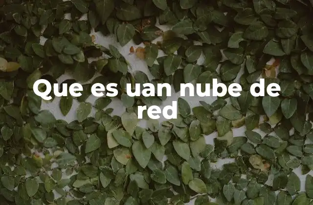 Que es Uan Nube de Red