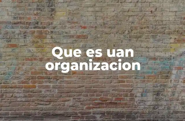 Que es Uan Organizacion