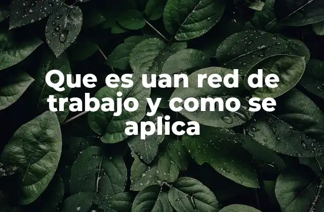 Que es Uan Red de Trabajo y como Se Aplica