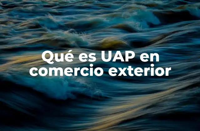 El papel de la UAP en la logística del comercio exterior