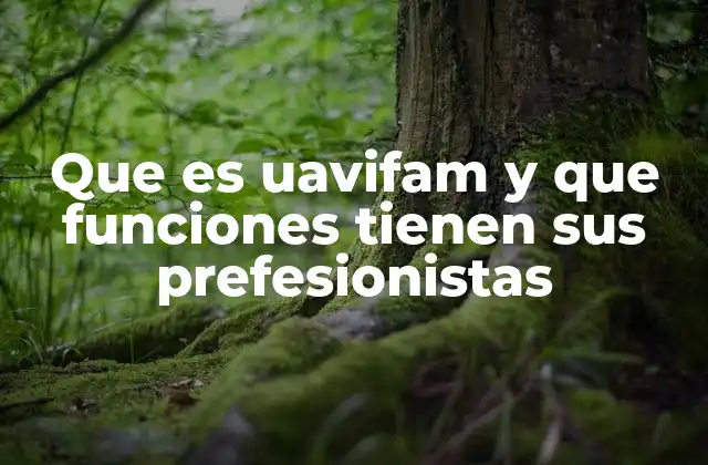 Que es Uavifam y que Funciones Tienen Sus Prefesionistas
