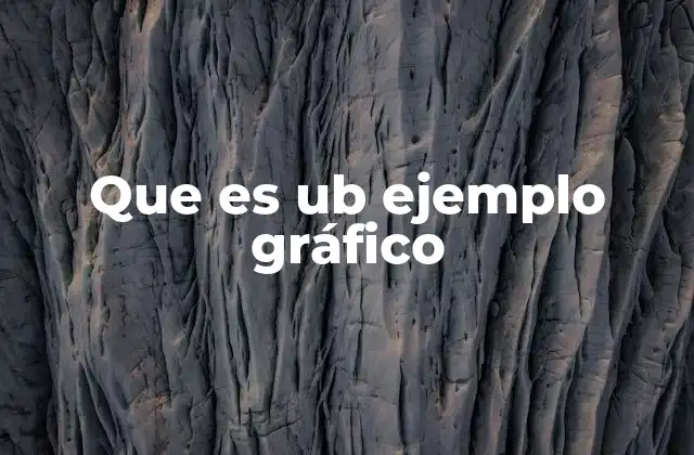 Que es Ub Ejemplo Gráfico