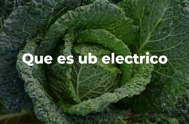 Que es Ub Electrico