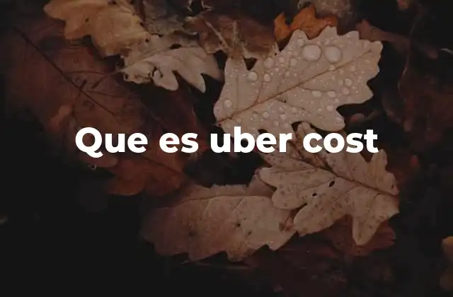 Que es Uber Cost 2 Cómo se calcula el costo de un viaje en Uber