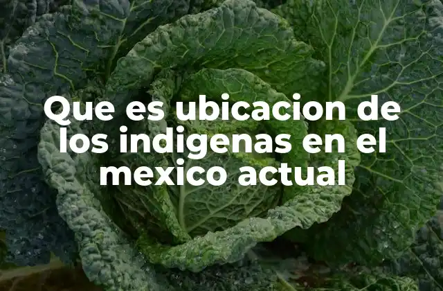 Que es Ubicacion de los Indigenas en el Mexico Actual