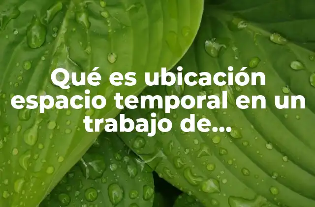 Qué es Ubicación Espacio Temporal en un Trabajo de Investigación
