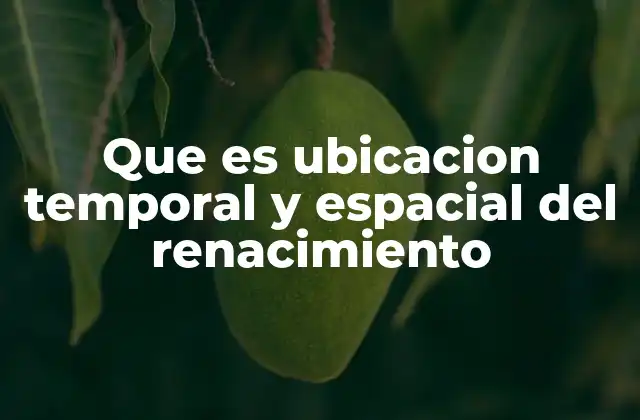 Que es Ubicacion Temporal y Espacial Del Renacimiento