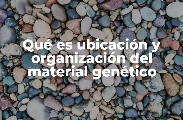 Qué es Ubicación y Organización Del Material Genético