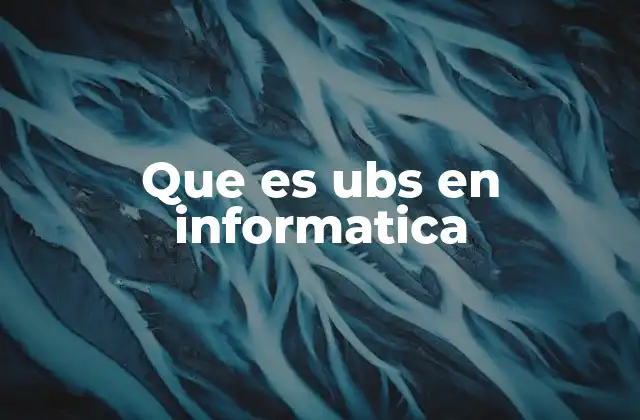 Que es Ubs en Informatica