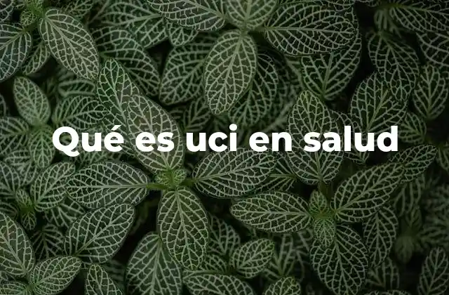 Qué es Uci en Salud