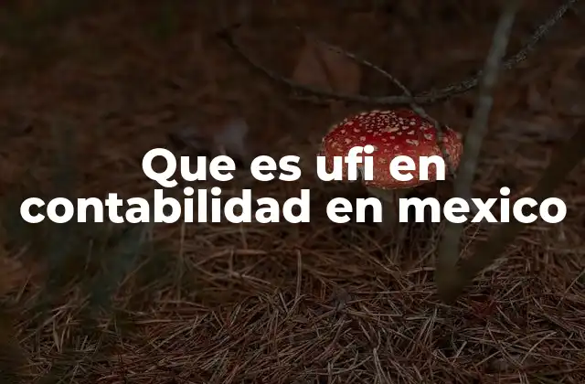 Que es Ufi en Contabilidad en Mexico