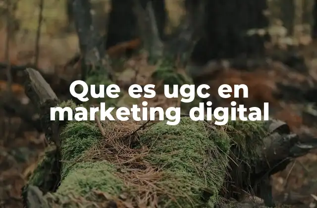 Que es Ugc en Marketing Digital