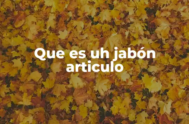 Que es Uh Jabón Articulo