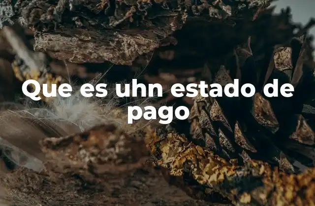 Que es Uhn Estado de Pago